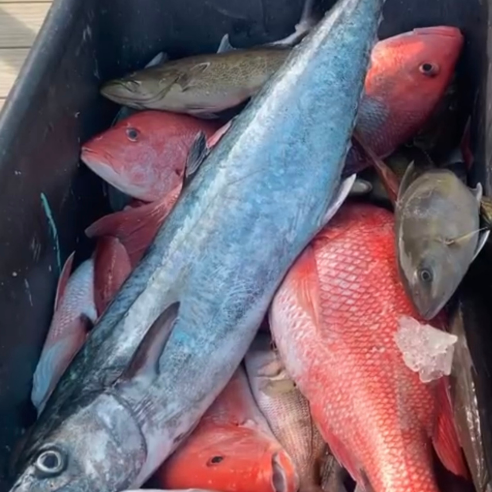 8HR BOTTOM FISHING