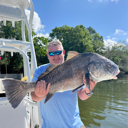 black drum in the gulf shores canal 