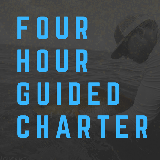 Four Hour Inshore Charter Fishing Trip